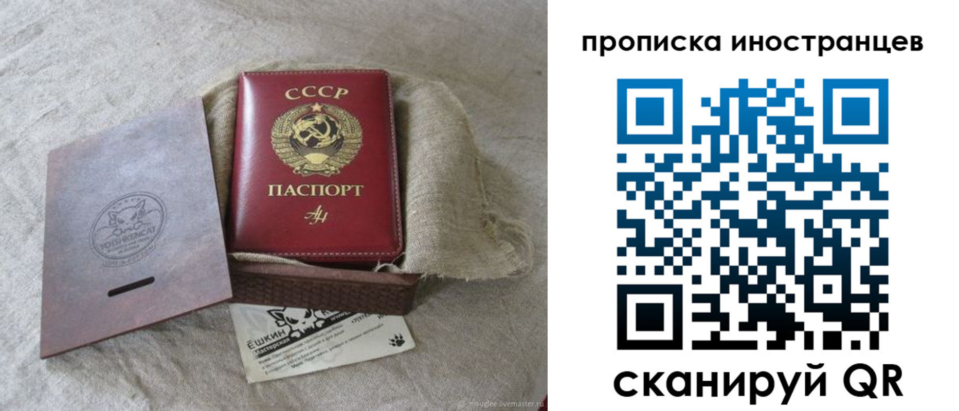 прописка поиск в Бердске